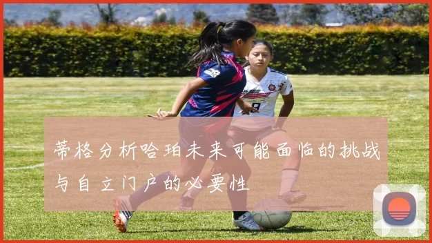 蒂格分析哈珀未来可能面临的挑战与自立门户的必要性