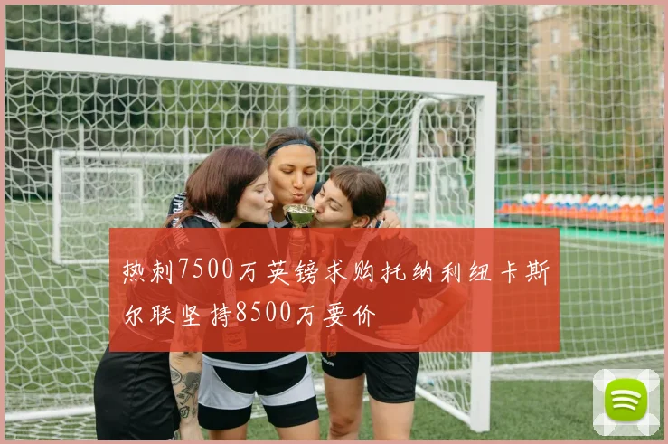 热刺7500万英镑求购托纳利纽卡斯尔联坚持8500万要价