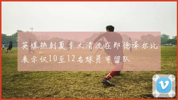 英媒热刺夏季大清洗在即德泽尔比表示仅10至12名球员可留队